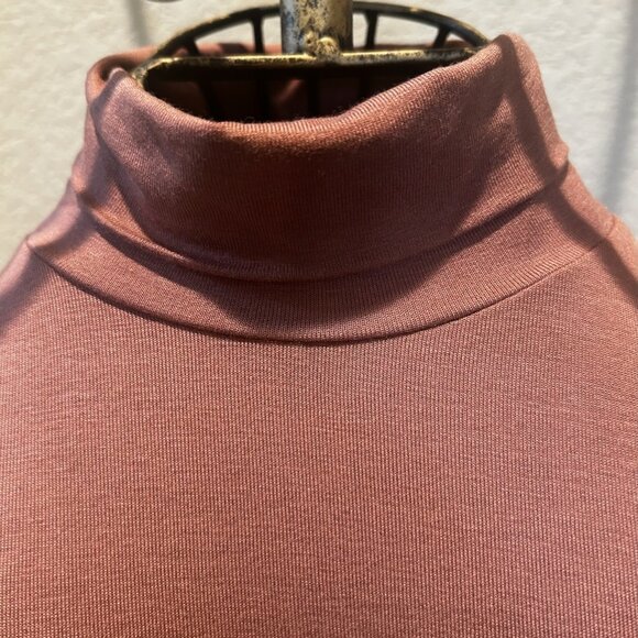 H&M Rose Gold Copper Silky Soft Basic Minimalist Style Turtleneck Size XS - Picture 6 of 9